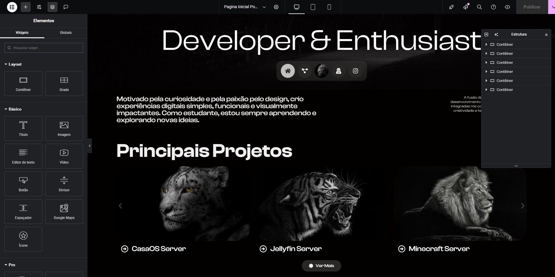 Interface do WordPress